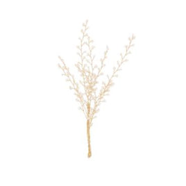 Brooches